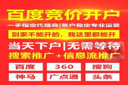 解析SEM推广代运营公司的成功案例及效果